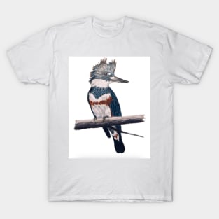 Kingfisher T-Shirt